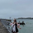 1027하우스 | 제주도 3박4일 여행코스(판포포구-경성회센터-도치돌목장-노형슈퍼마켓-숙성도-삼거리식당-귤꽃다락...