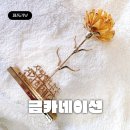 선경특수가스상사 | 만족도 높은 어버이날 선물 드림로즈 금카네이션 스페셜한 부모님선물
