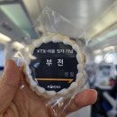 동해선 | 울진역 KTX이음 개통식 생생 후기｜동해선 개통 정보 + 기념품까지!