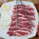신선산오리 이미지