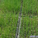 송씨네농장 이미지