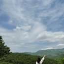 칠곡양떼목장 | [일상] 5월, 경북 칠곡양떼목장 후기