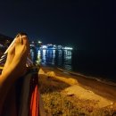 바다아리 이미지