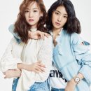 다솜 이미지