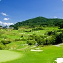 웰리힐리 컨트리클럽 이미지