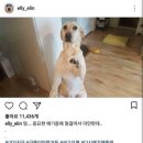 개스타그램 이미지