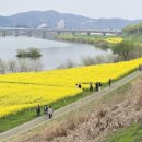 영산스포츠타운 이미지