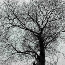 계절그리기 이미지