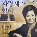 (주)파코메리뷰티스테이