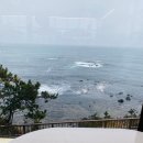 해바라기 PC존 대도점 | 포항 구룡포 대형카페 추천 사방이 오션뷰 카페무이네 방문 솔직후기