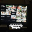 내성초등학교 이미지