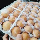 부촌농장 이미지