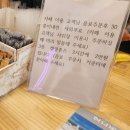 캣존 이미지