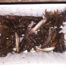 가재약국 이미지