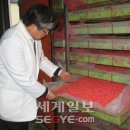 제일종묘 세계일보