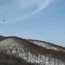 곰배령새소리 이미지