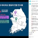 해피앤맘맘스인