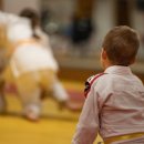 강한 유도관 이미지