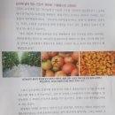 효민농원