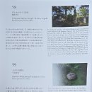 가득한향 태양광발전소 | 도쿄 미술관 여행, 에노우라 측후소 (2026.03.13)