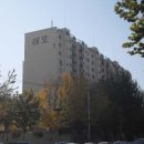 강남-295 이미지