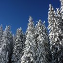 갈산한의원 이미지