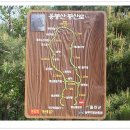 (주)양지약품 이미지