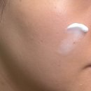 오르네뷰티 | [뷰티] 속건조 보습 케어 크오르네 멜라락티스 크림 탄력 광채 후기
