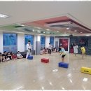 태랑태권도장 이미지