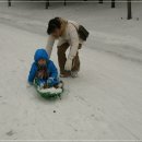 설매공원 이미지