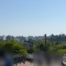 정우목장 | 2026 어썸 뮤직 페스티벌 후기 :: 4월 한강난지공원에 눈이 내렸어요..❄️