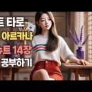 궁예타로의 타로관심법, 타로카드 한 장으로 상대방의 마음을 읽다…완드 기사(Knight of Wands) 이미지