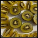 소랑다래랑 이미지