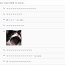 오늘도기념일 이미지