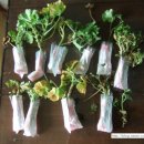 행복구대 이미지