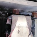 선지농장 이미지