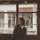 스테파니 리 카카오 검색결과