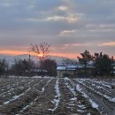 김신환동물병원 이미지