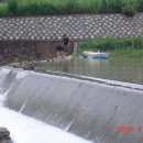 삼포초등학교 이미지