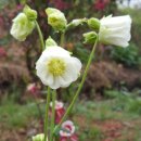 한농한의원 이미지