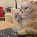 제이파트너스 | 웨딩카페 제이웨딩 3개월만에 50만원 모은 후기 / 포인트 쌓는 법 / 파트너스 등업 / 황채은 플래너 추천