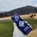 디알지(DRG) 이미지