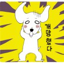 디스크독연구소 네이버블로그