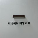 리바이브 체형교정