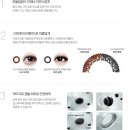 씨월드 안경원 네이버블로그