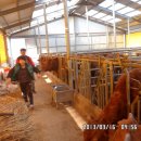 대흥농장 이미지