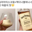 한스쿱 이미지