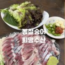 시장수산 | 수원 농수산물시장 횟집 희망수산 후기
