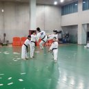 국제고려태권도 이미지