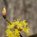 보수초등학교 이미지
